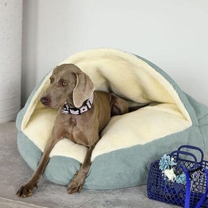 May include: A Weimaraner dog rests in a mint green and cream-colored dog bed. The bed has a soft, plush interior. A blue basket with flowers and a blue leash are nearby. The text "MINT with LIGHT inner part" is at the bottom.