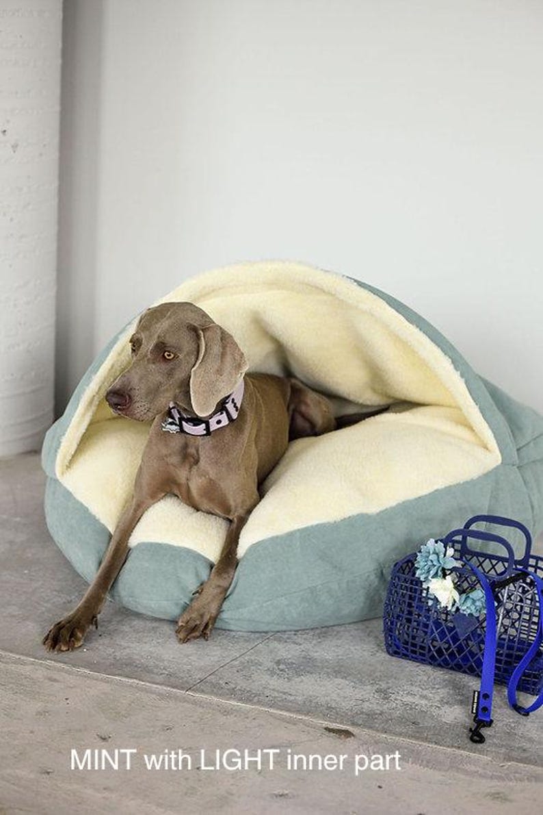 May include: A Weimaraner dog rests in a mint green and cream-colored dog bed. The bed has a soft, plush interior. A blue basket with flowers and a blue leash are nearby. The text "MINT with LIGHT inner part" is at the bottom.