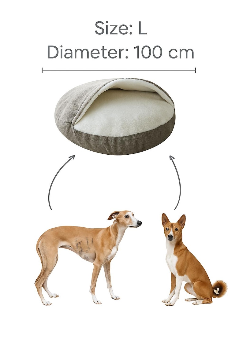 May include: A large, round dog bed with a diameter of 39 inches. The bed is gray on the outside and white on the inside. Two dogs are shown below the bed, illustrating the bed's size and use.