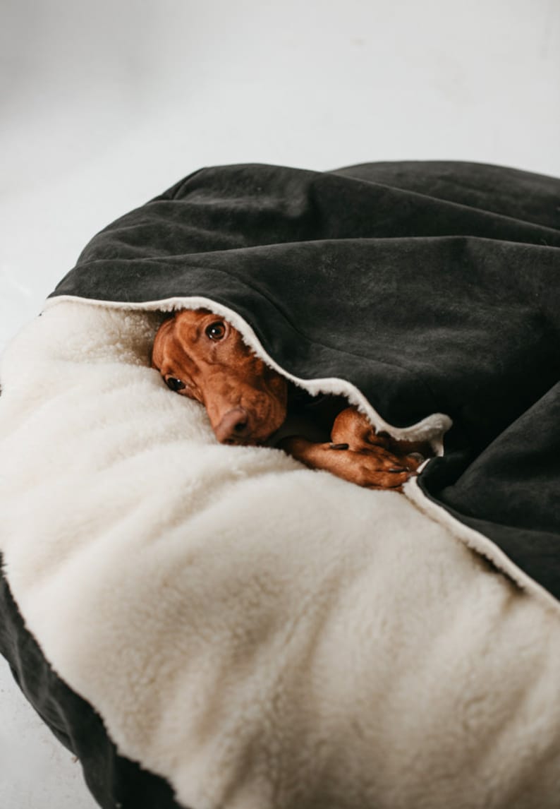 Big Washable Dog Bed Cave Crate Puppy Cave Plush Bed for Large Etsy