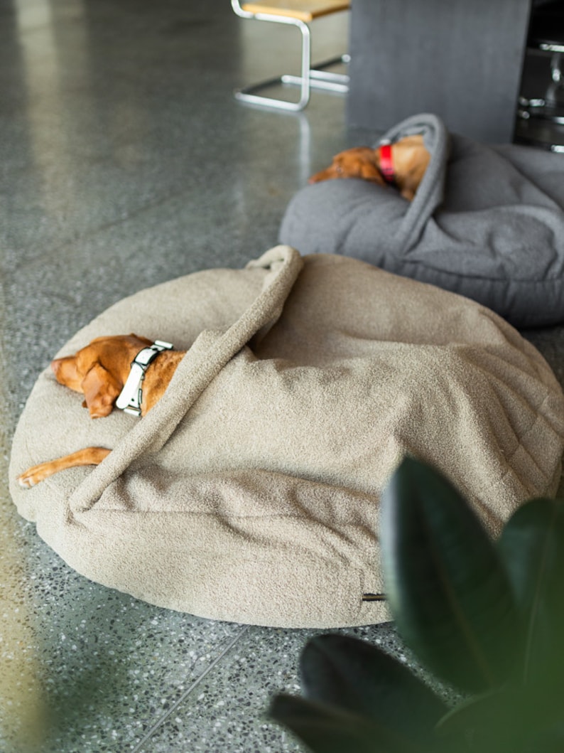 Pu&ograve; includere: Due cani riposano in comode cucce rotonde. Uno &egrave; in una cuccia beige, parzialmente coperto da una coperta abbinata. L'altro &egrave; in una cuccia grigia. Entrambi i cani sono marroni con collari.