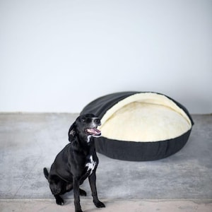 May include: A black dog with white markings sits near a black and cream-colored pet bed. The bed has a rounded shape with a soft, light-colored interior. The text "BLACK with LIGHT inner part" is visible.