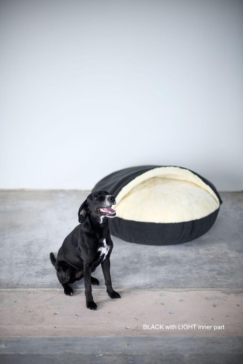 May include: A black dog with white markings sits near a black and cream-colored pet bed. The bed has a rounded shape with a soft, light-colored interior. The text "BLACK with LIGHT inner part" is visible.