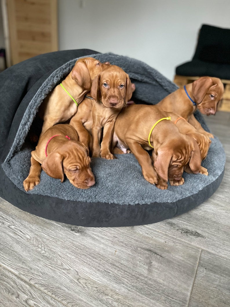 Large dog bed cave Plush round puppy donut bed Crate Plush Calming big dog bed with cover image 6