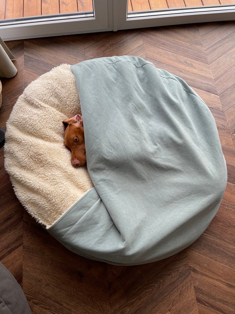 May include: A round dog bed with a light blue cover and a cream-colored, fluffy interior. A brown dog is nestled inside the bed, peeking out from under the cover. The bed is on a wooden floor.
