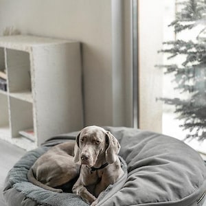 May include: A grey dog bed with a dark grey inner part, and a grey dog resting inside. The dog bed is round and plush, with a soft, furry lining. The text "GREY with DARK inner part" is visible.