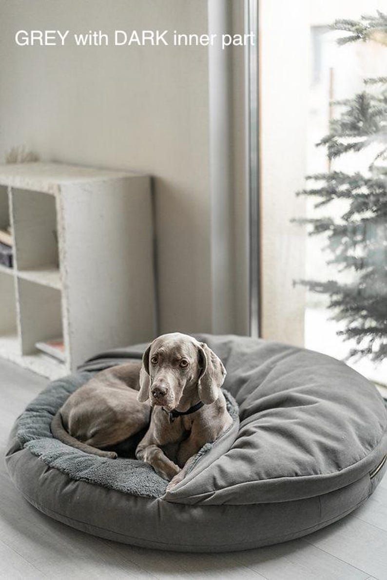 May include: A grey dog bed with a dark grey inner part, and a grey dog resting inside. The dog bed is round and plush, with a soft, furry lining. The text "GREY with DARK inner part" is visible.