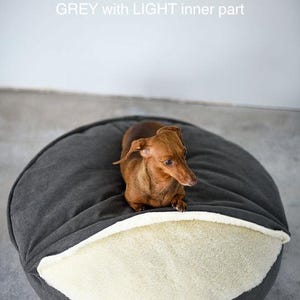 May include: A brown dachshund rests in a gray dog bed with a light inner part. The bed is round and plush, providing a cozy space for the dog. The text "GREY with LIGHT inner part" is visible.