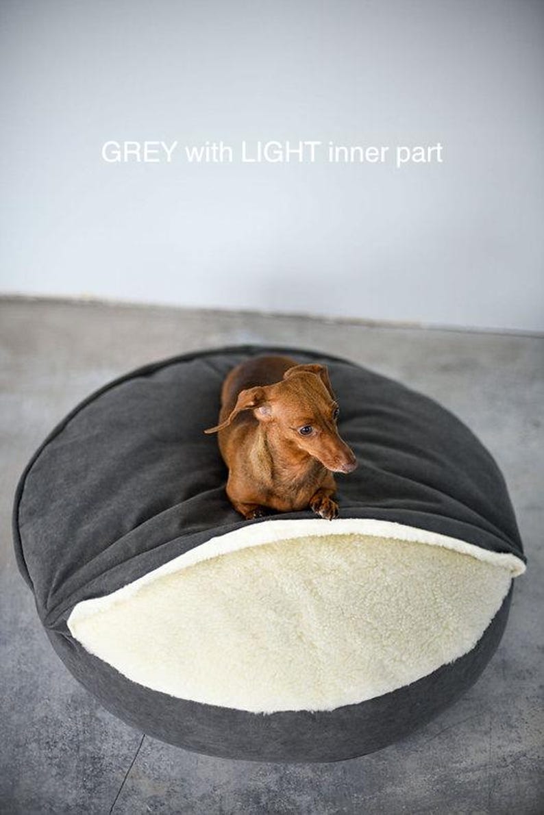 May include: A brown dachshund rests in a gray dog bed with a light inner part. The bed is round and plush, providing a cozy space for the dog. The text "GREY with LIGHT inner part" is visible.