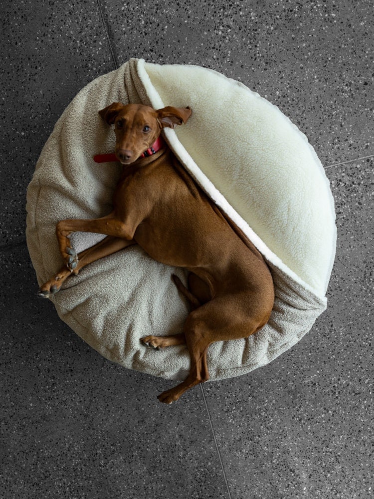 Large Dog Cave Bed in White Boucle Puppy Nesting Mattress Plush