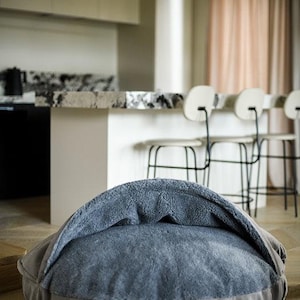 May include: A brown pet bed with a dark blue, plush interior. The bed has a rounded shape with a low profile and a raised, hooded section. The text "BROWN with DARK inner part" is visible at the bottom.