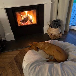 May include: A brown dog resting on a large, white beanbag chair in front of a fireplace. The fireplace has a black interior and a white mantel. Flames are visible inside the fireplace. A woven basket with a dark blanket sits nearby.