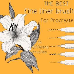 Fine liner procrea pennelli perfetti per scarabocchiare la penna nera del pennello scarabocchio