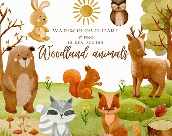 Woodland animals watercolor clipart 47 png Bär Reh, Fuchs Eule Hase handdrawn elements Nursery Babyshower commercial use (need licenze)