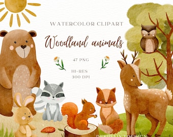 Woodland animals watercolor clipart 47 png Bär Reh, Fuchs Eule Hase handdrawn elements Nursery Babyshower commercial use (need licenze)