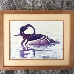May include: Framed print of a purple and white hooded merganser duck swimming in water. The print is signed "Rod Colquitt" and "The Decoy Shop".