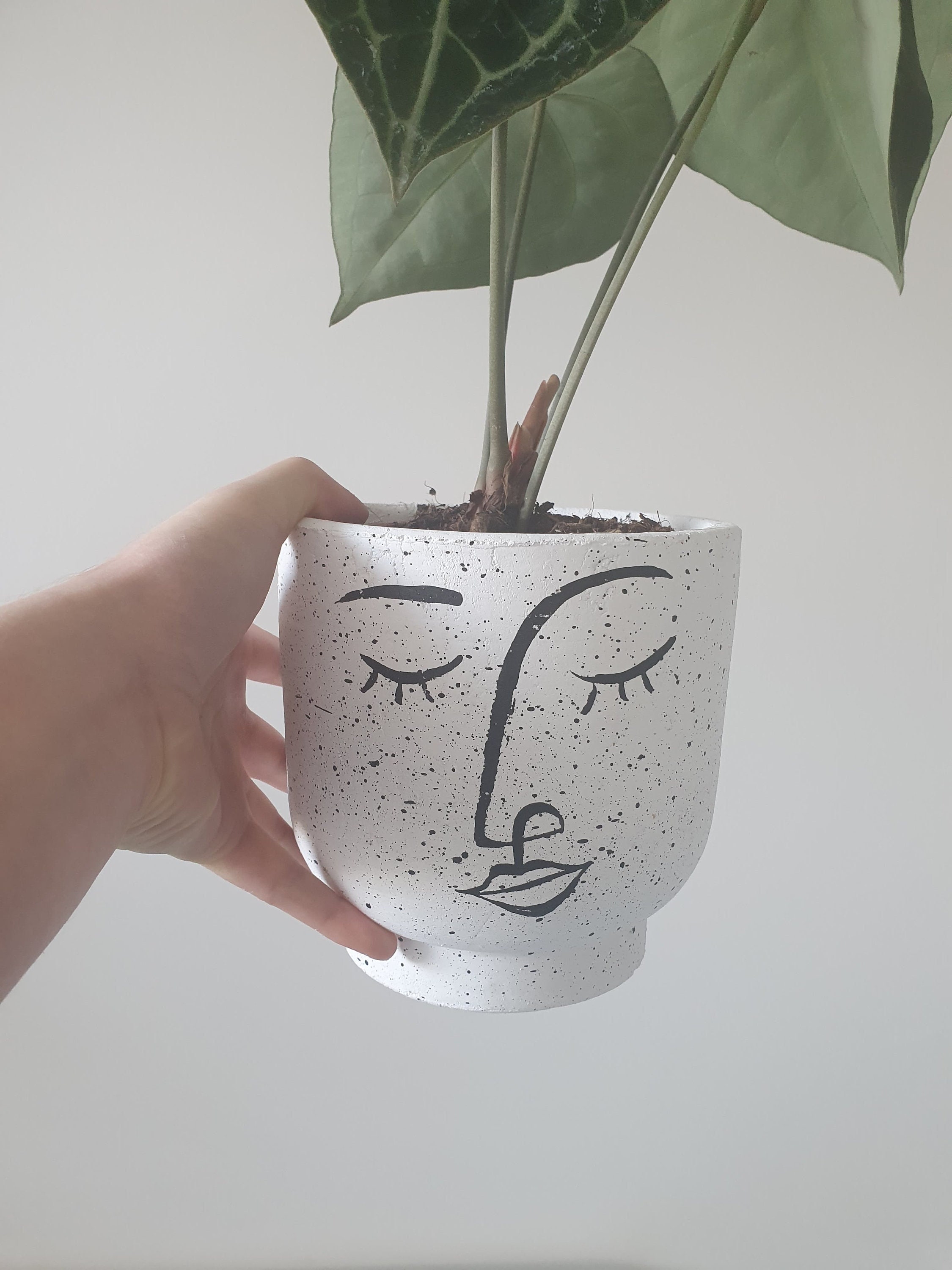 Pot de Plantes/Fleurs | Flowerpot Décoration