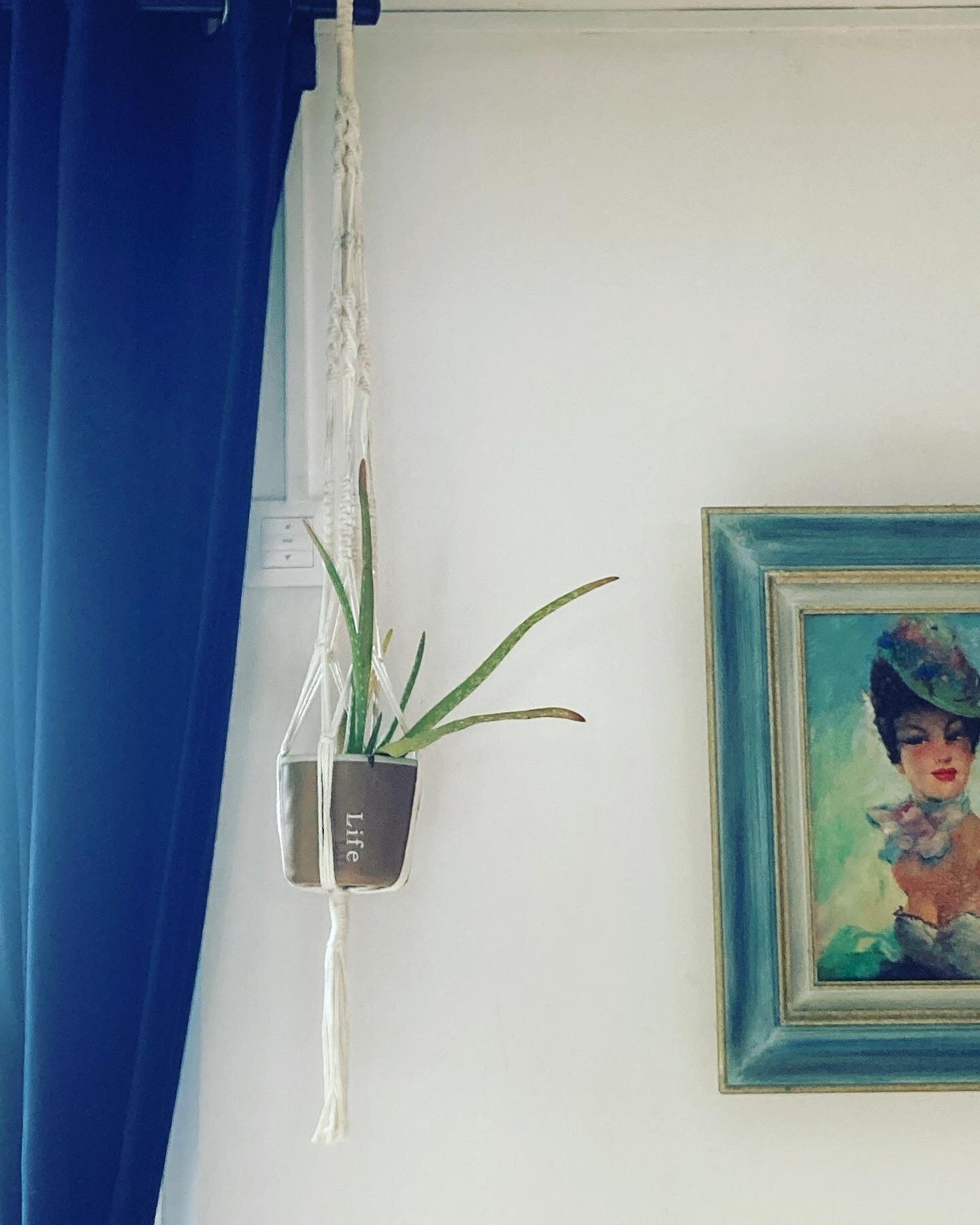 Suspension Plante en Macramé