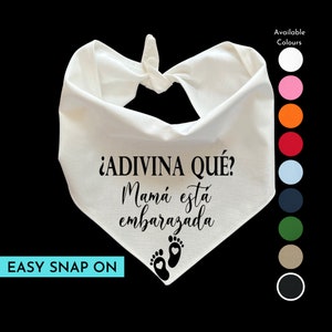 Adivina québécoise ?  Mamá está embarazada - Devinez quelles mamans enceintes | Faire-part de grossesse | Sexe révélé