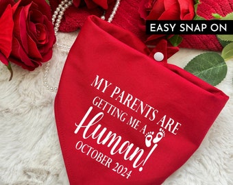My Parents are getting me a Human Pregnancy Announcement, Baby Shower, Baby News Snap-on Bandana, New Baby