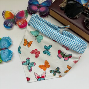 May include: White bandana with a blue and white checked border. The bandana is decorated with a colourful butterfly pattern.