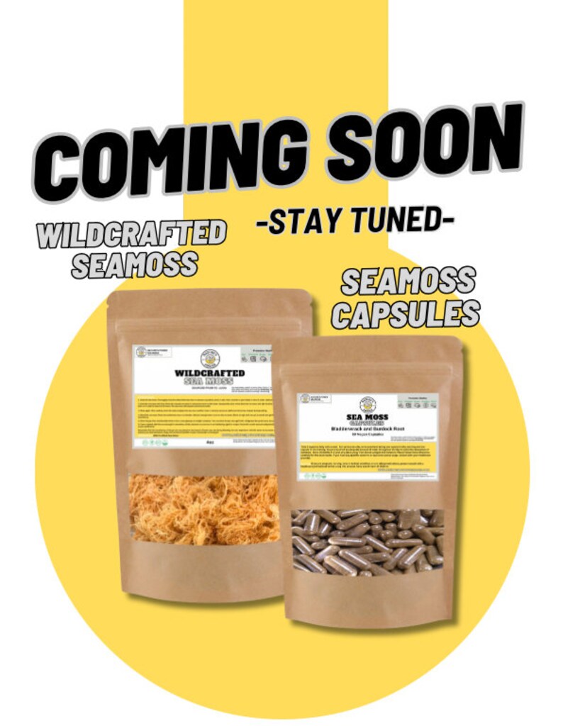 Turmeric & Ginger Sea Moss Gel 16oz, 8oz, Infused 100 Wildcrafted St