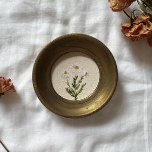 Piccoli fiori rotondi incorniciati acquerello classico, arte minuscola, arredamento chic dall'aspetto vintage, illustrazione botanica, arte fatta a mano da 3 pollici
