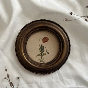Kleines gerahmtes Original Aquarellgemälde, Stillleben Original Feldblumen, authentische limitierte Auflage botanische Mohnblumen Wandillustration