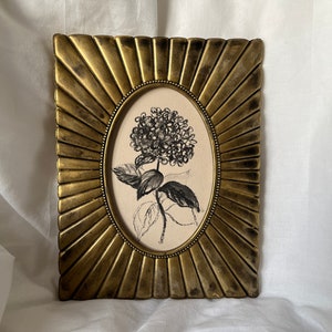 Unique framed hydrangea drawing | Botanical original drawing | Vintage tree art | Golden antique handmade frame | Oval frame | Wall gallery