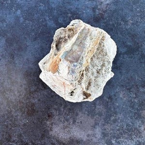 May include: A rough, irregularly shaped rock with a mix of beige, brown, and gray tones. The rock has a textured surface with visible layers and variations in color. The background is a dark, mottled surface.