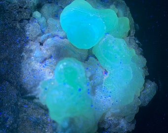 Mineral Specimen - Chalcedony - Fluorescent  - Arizona #1004