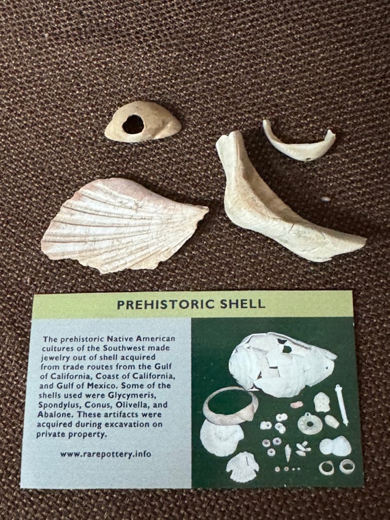Prehistoric Hohokam Native American Artifact Arizona - Shell - Etsy