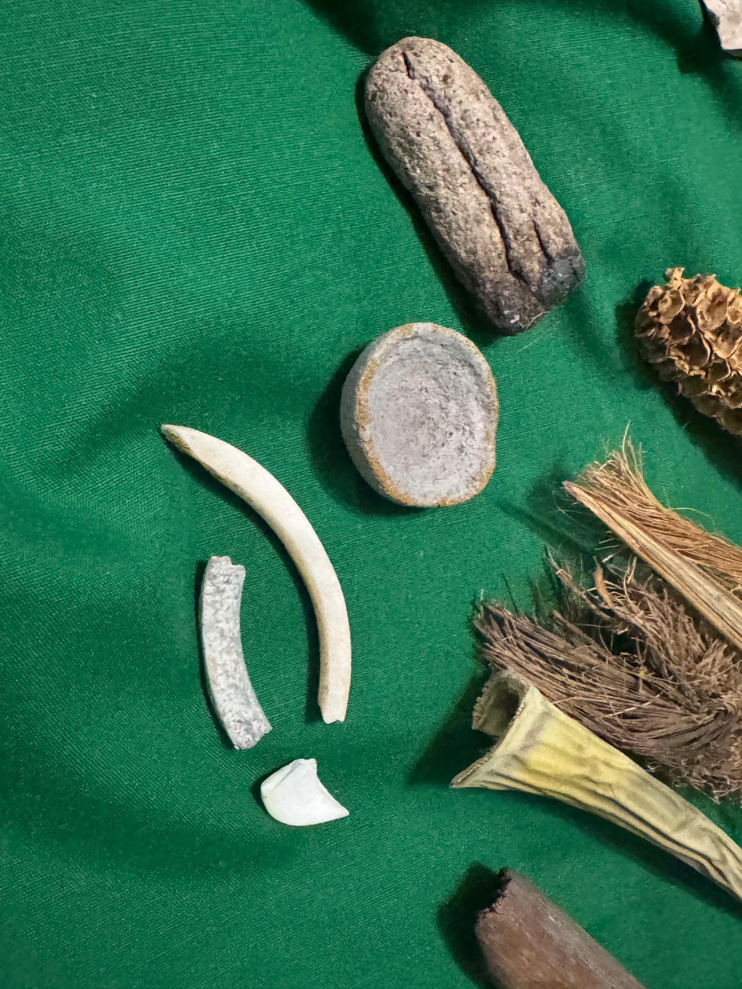 PREHISTORIC USA visual data 7