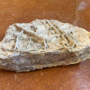 Jasper Specimen in Matrix - Arizona