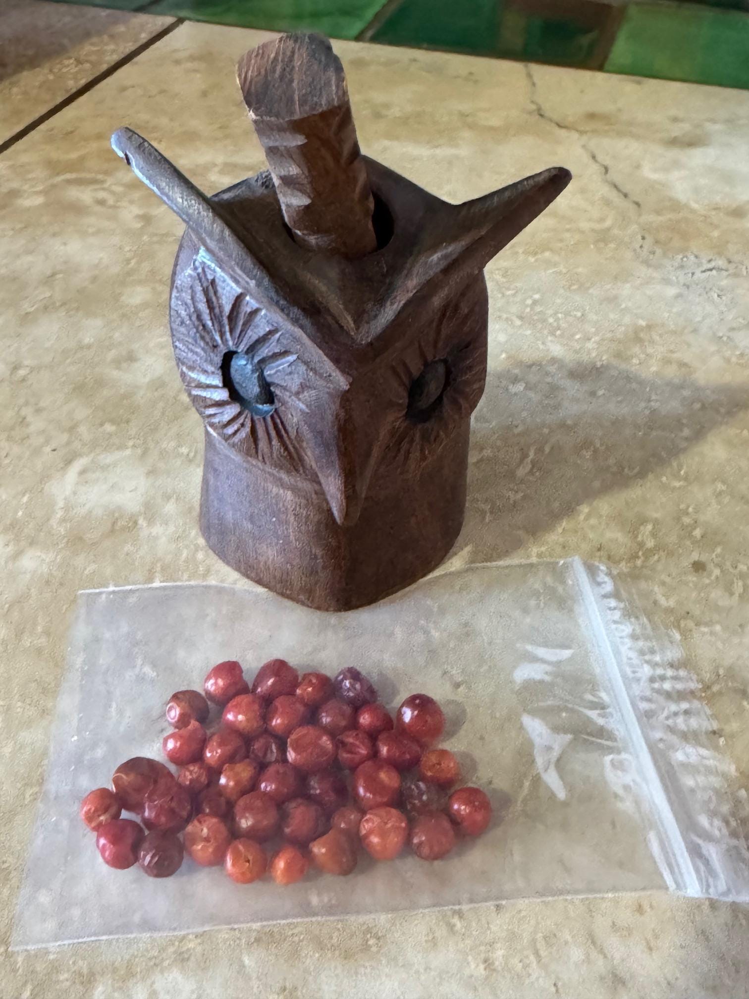 Mexican Ironwood Carved Chiltepin Pepper Crusher OWL - Mexico - Etsy