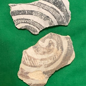 Förhistorisk Anasazi / Mogollon Tularosa svartvita amerikanska keramikskärvor artefakt Arizona