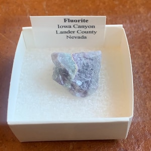 Fluorite Thumbnail Mineral Specimen from Nevada