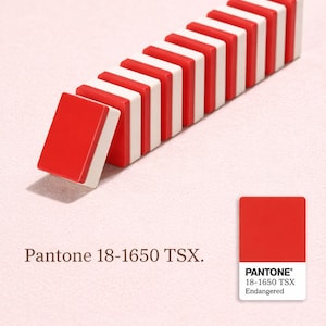 May include: A row of rectangular tiles arranged in an alternating pattern of solid red and white. The red color is identified as Pantone 18-1650 TSX Endangered, shown in a small color swatch with the corresponding text label printed below.