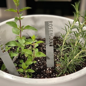 Garden Stakes | Personalized Planter & Vegetable Markers, Tags| Laser cut | Acrylic| Morden and Reusable Labels