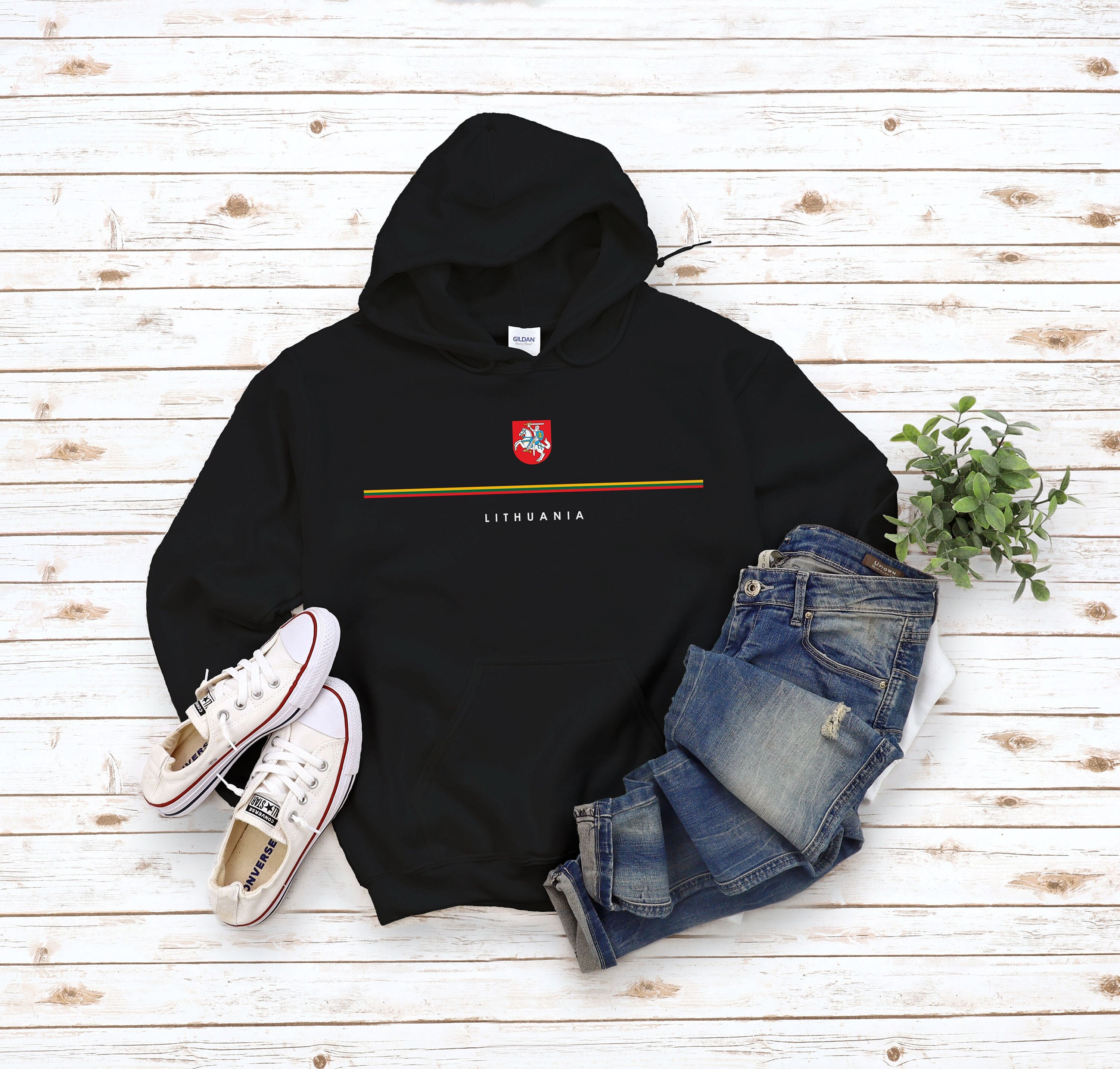 Lithuania Hoodie, Country Logo with Flag Sweatshirt, Coat of Arms of Lietuvos Pullover