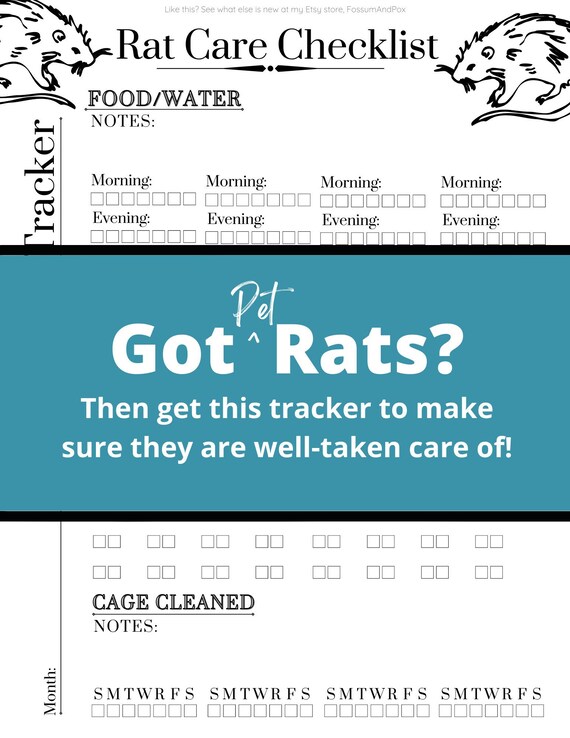 Pet Rats Monthly Checklist/rodent Care/mischief Love/monthly Etsy
