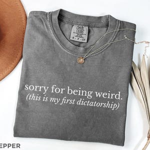 May include: A gray t-shirt with the text "sorry for being weird. (this is my first dictatorship)". The shirt has a crew neck and short sleeves. A silver necklace with a small pendant is on the shirt.
