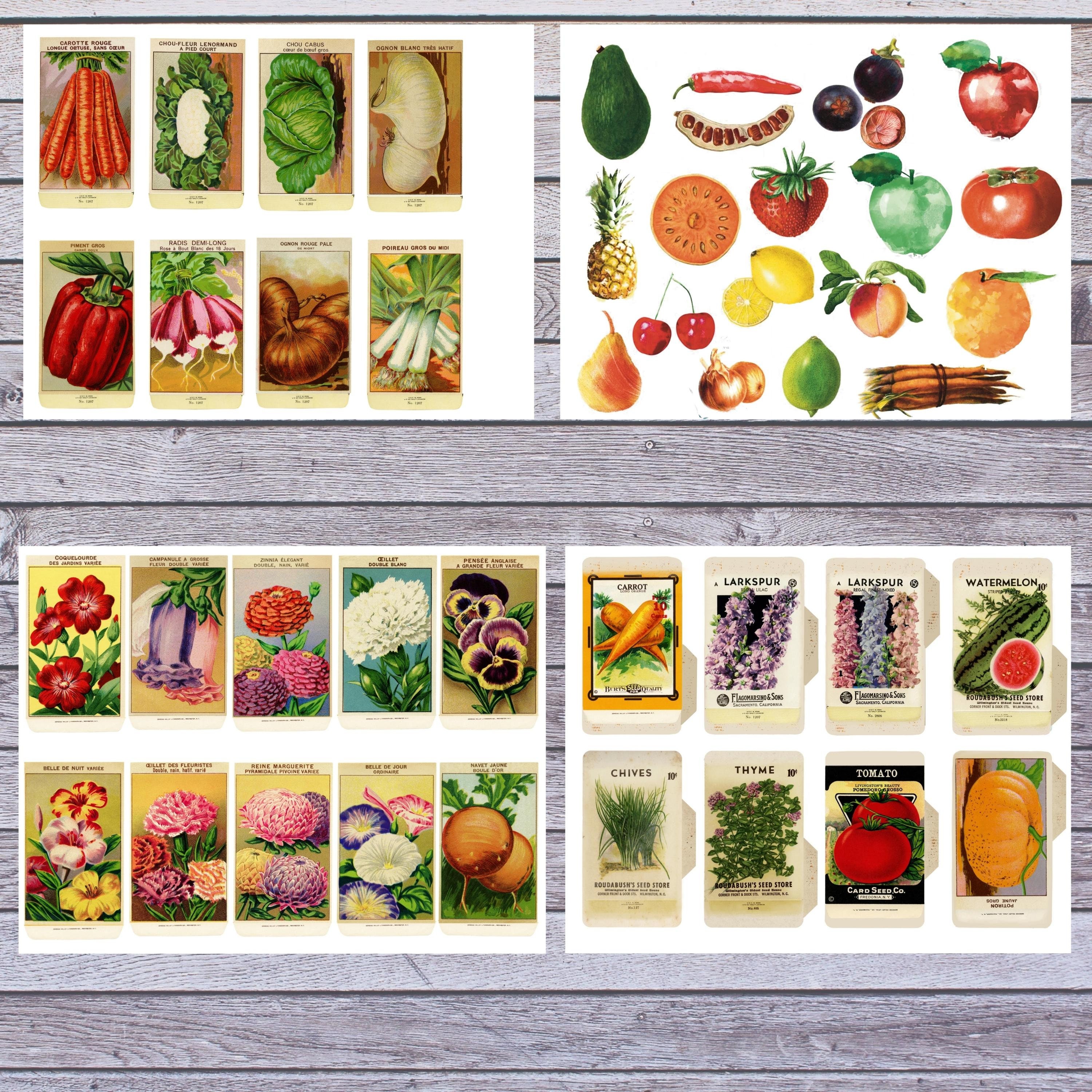 Vintage Seed Packet Printable Junk Journal Kit Vintage Seed - Etsy ...