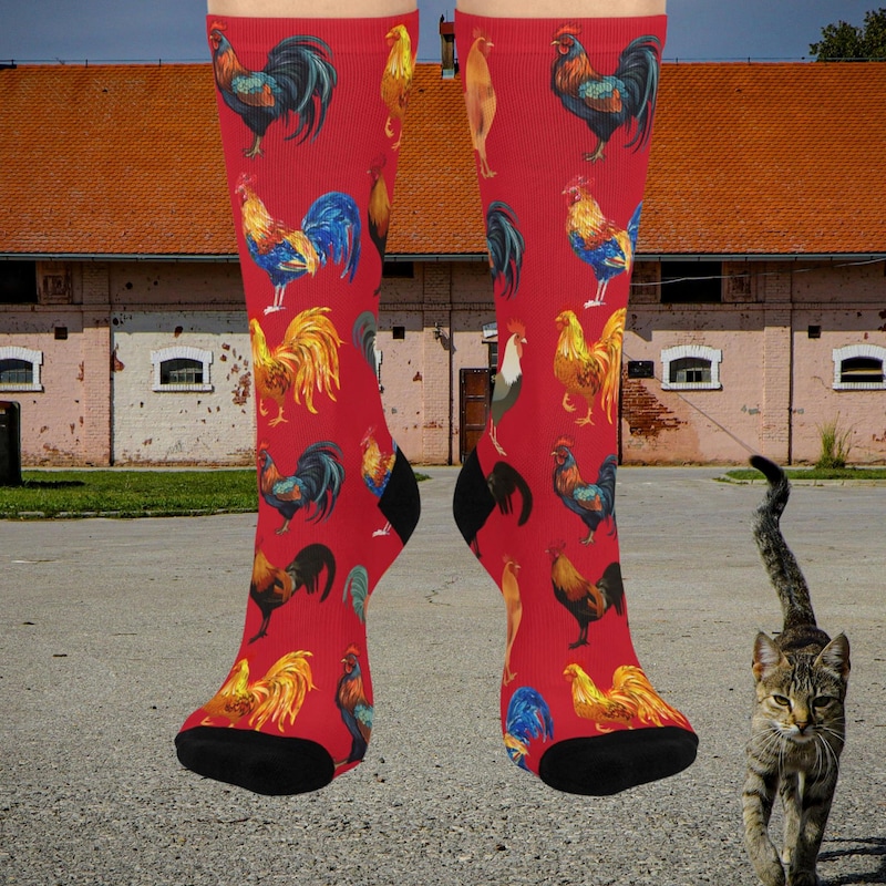 Chicken Socks - Etsy