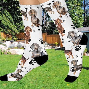 Dachshund  socks, Dog socks, girl socks, Dog gift, Pet Owner gift, birthday Cushioned Crew Socks