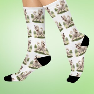 May include: A pair of white crew socks featuring a repeating pattern of white poodles with red collars standing on green grass. The socks have solid black heels and black toe sections, providing a distinct contrast to the white fabric base.