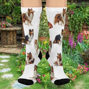 Presente perfeito para amantes de Collie – Meias Collie – Presente de Natal, Presente de Amigo Secreto, Ideia engraçada de presente de Natal, Presente para mamãe de cachorro,