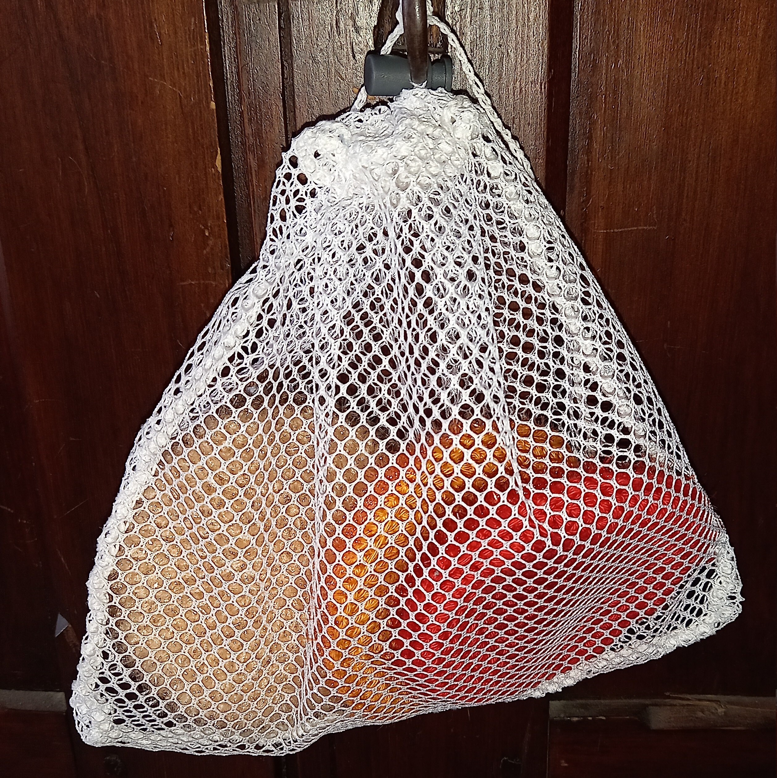 Lot Filet de Lavage + Éponge