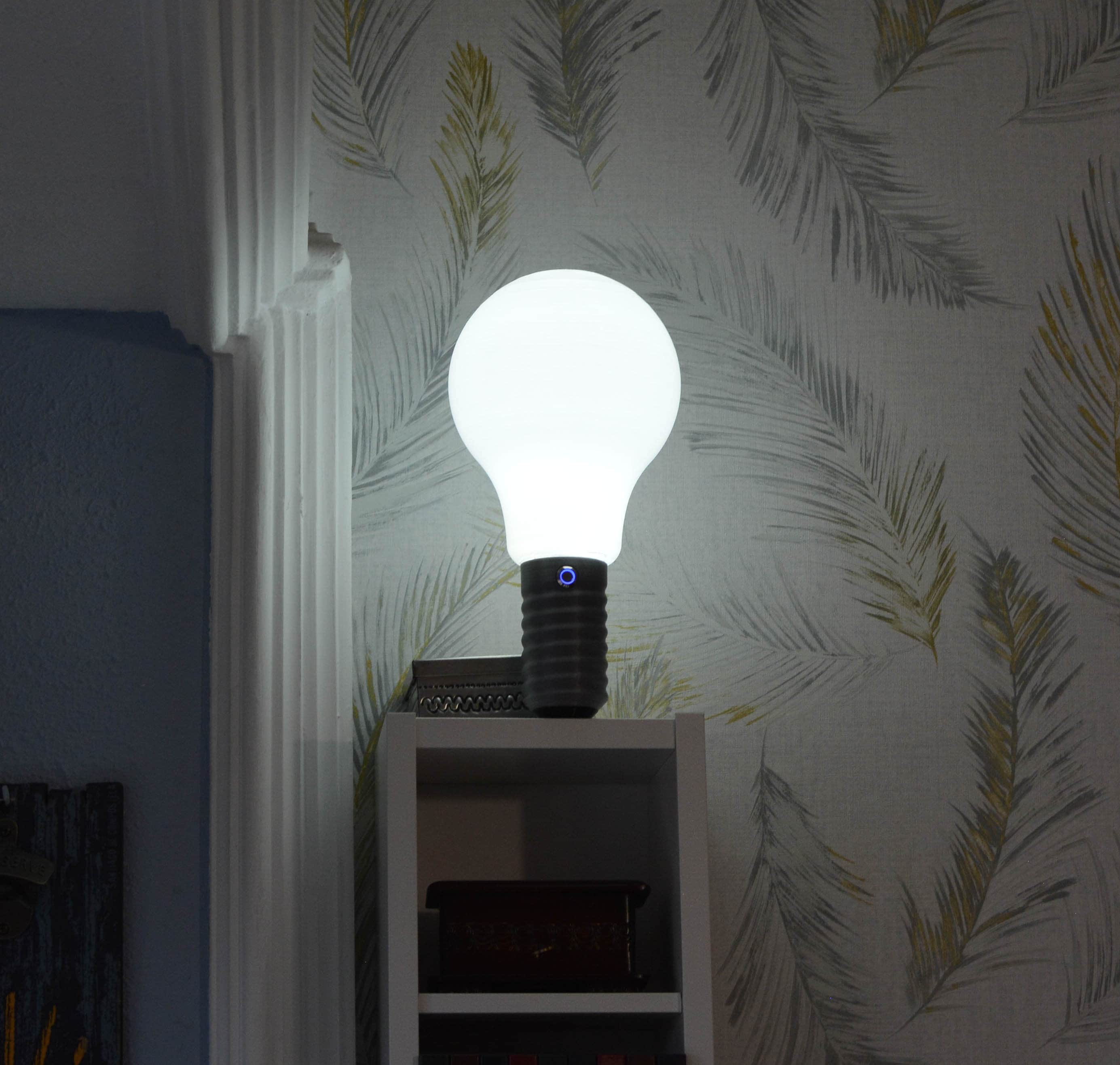 Una bombilla, pilas, linterna, luz, bombilla, lámpara, camping, batería  Fotografía de stock - Alamy