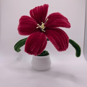 May include: A handmade, plush, burgundy flower with a yellow centre, displayed in a small white pot. The flower has five large petals and green stems. The pot is filled with green material.